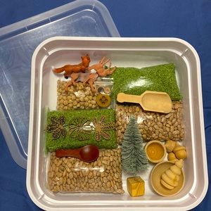 Kids woodland sensory bin